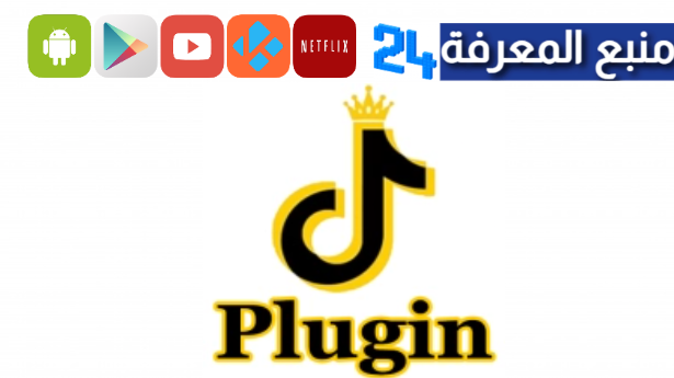 تحميل تطبيق TikTok Plugin APK تيك توك بلاجين 2024 للاندرويد